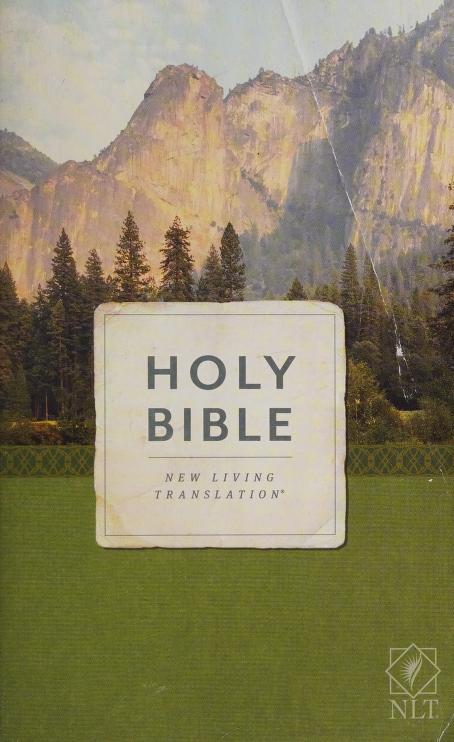 NLT Holy Bible, Economy Outreach Edition