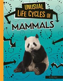 Unusual Life Cycles of Mammals