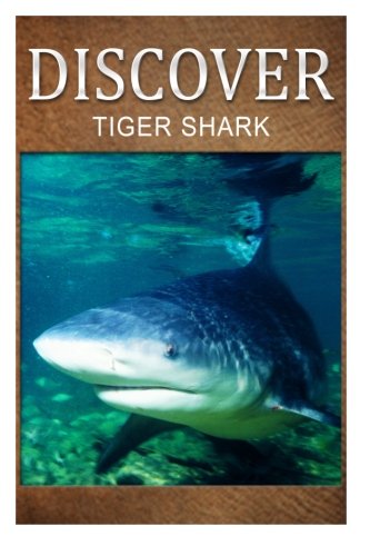 Tiger Shark - Discover