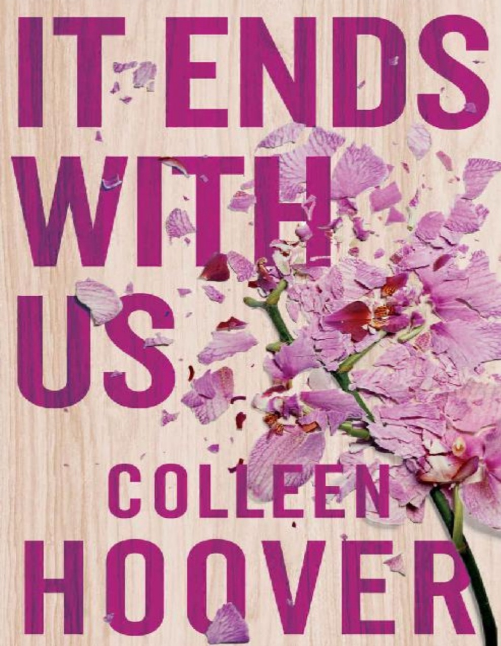 It Ends With Us by Colleen Hoover, ISBN 9781501110375