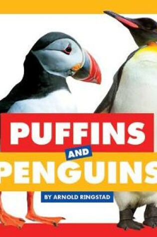 Puffins and Penguins