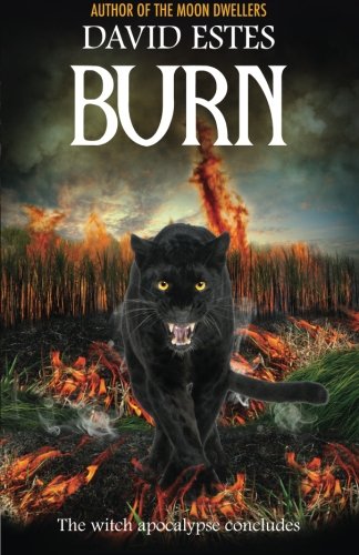 Burn