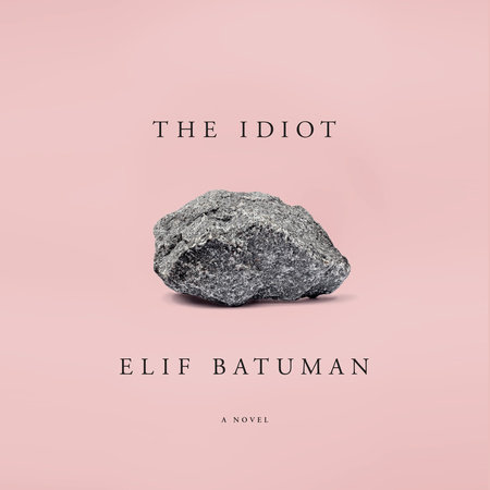 The Idiot by Elif Batuman, ISBN 9781524734947