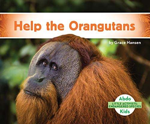 Help the Orangutans