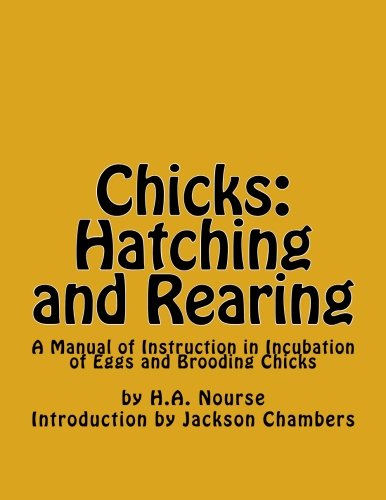 Chicks : Hatching and Rearing
