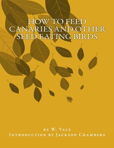 How to Feed Canaries and Other Seed Eating Birds