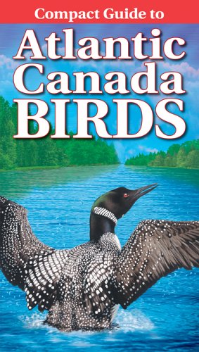 Compact guide to Atlantic Canada birds