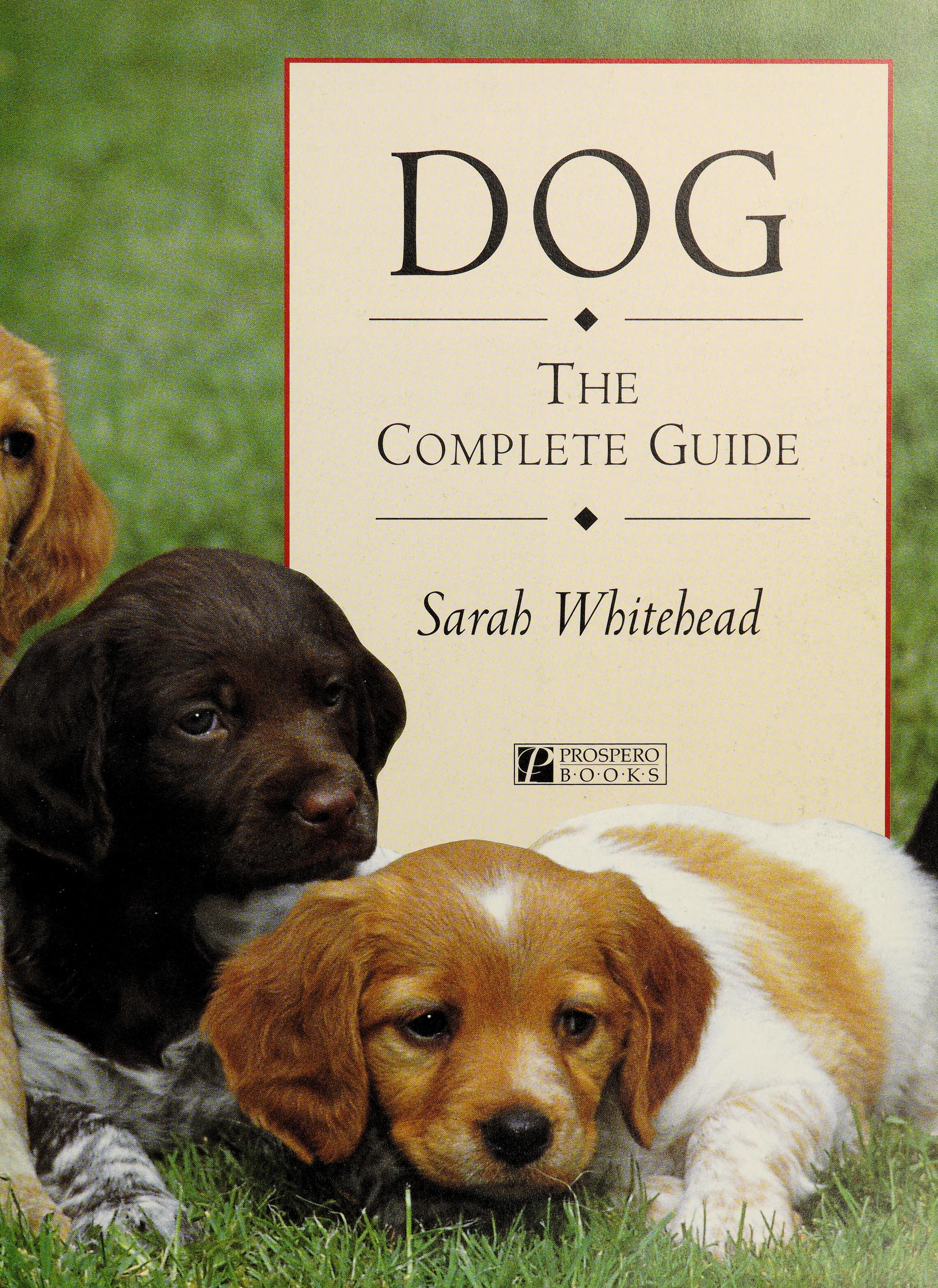 Dog: The Complete Guide