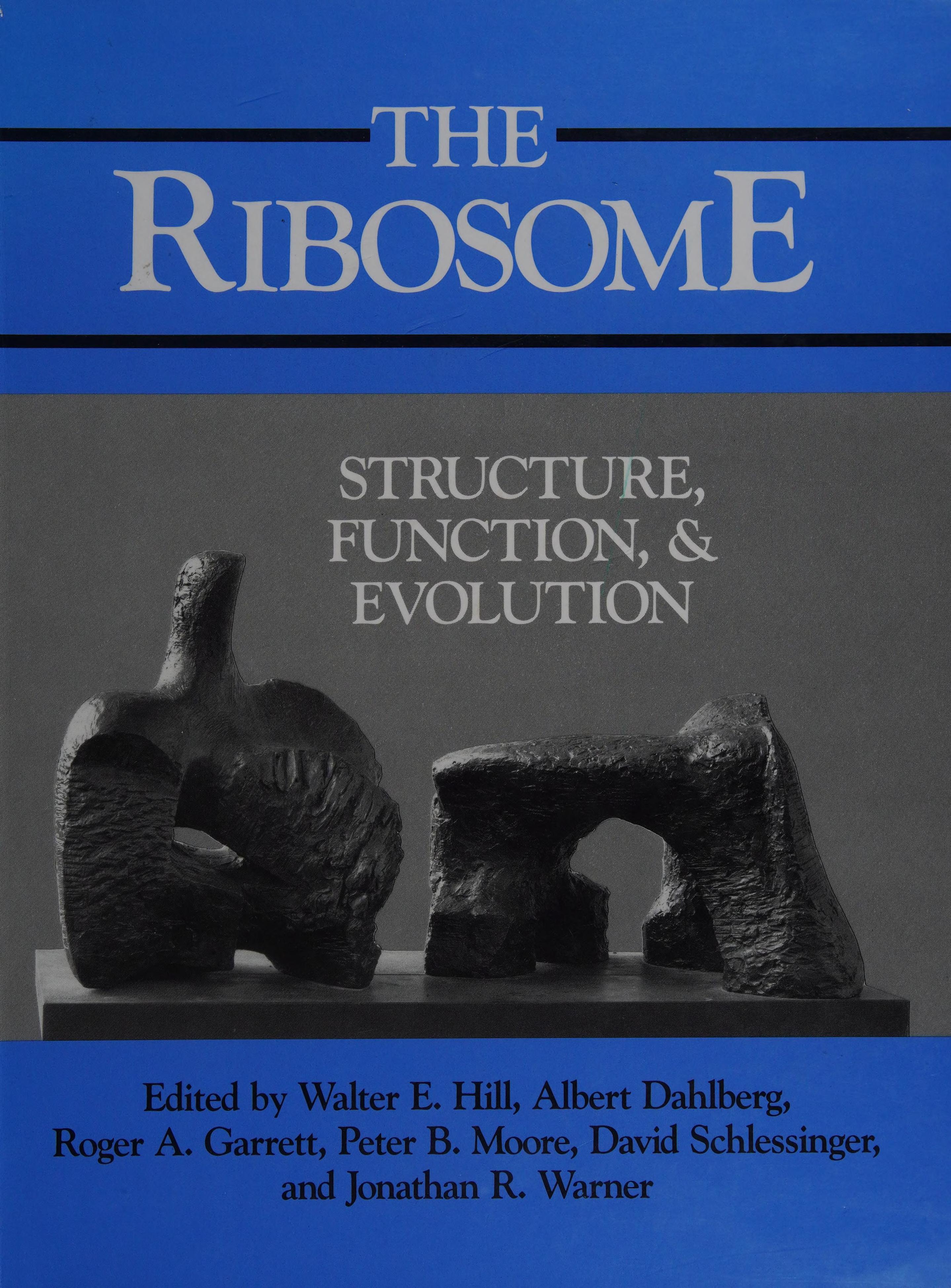 The Ribosome: Structure, Function, & Evolution
