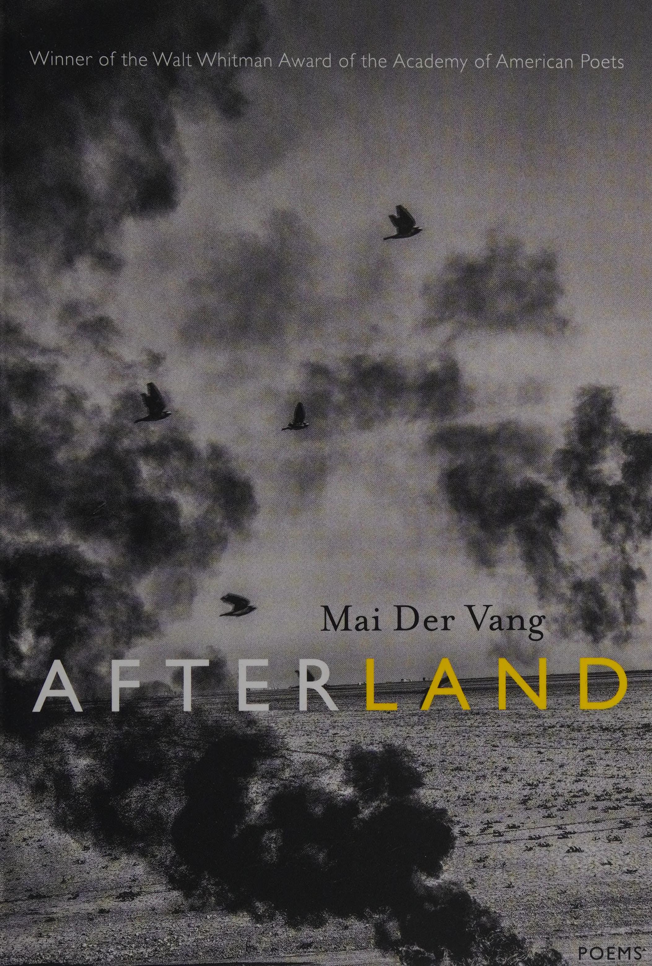 Afterland