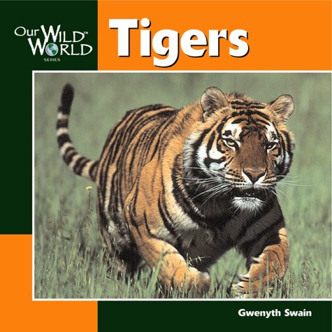Tigers Our Wild World