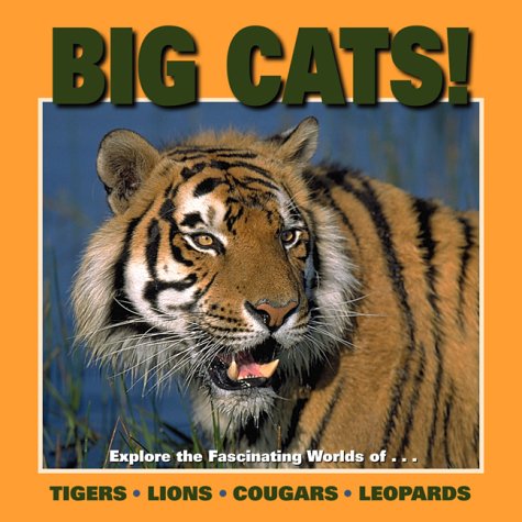 Big Cats Our Wild World