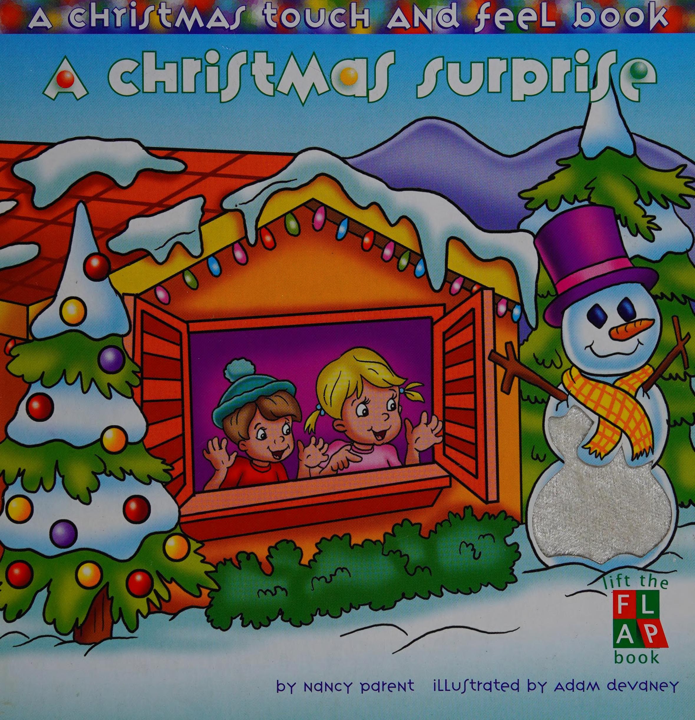 A Christmas Surprise
