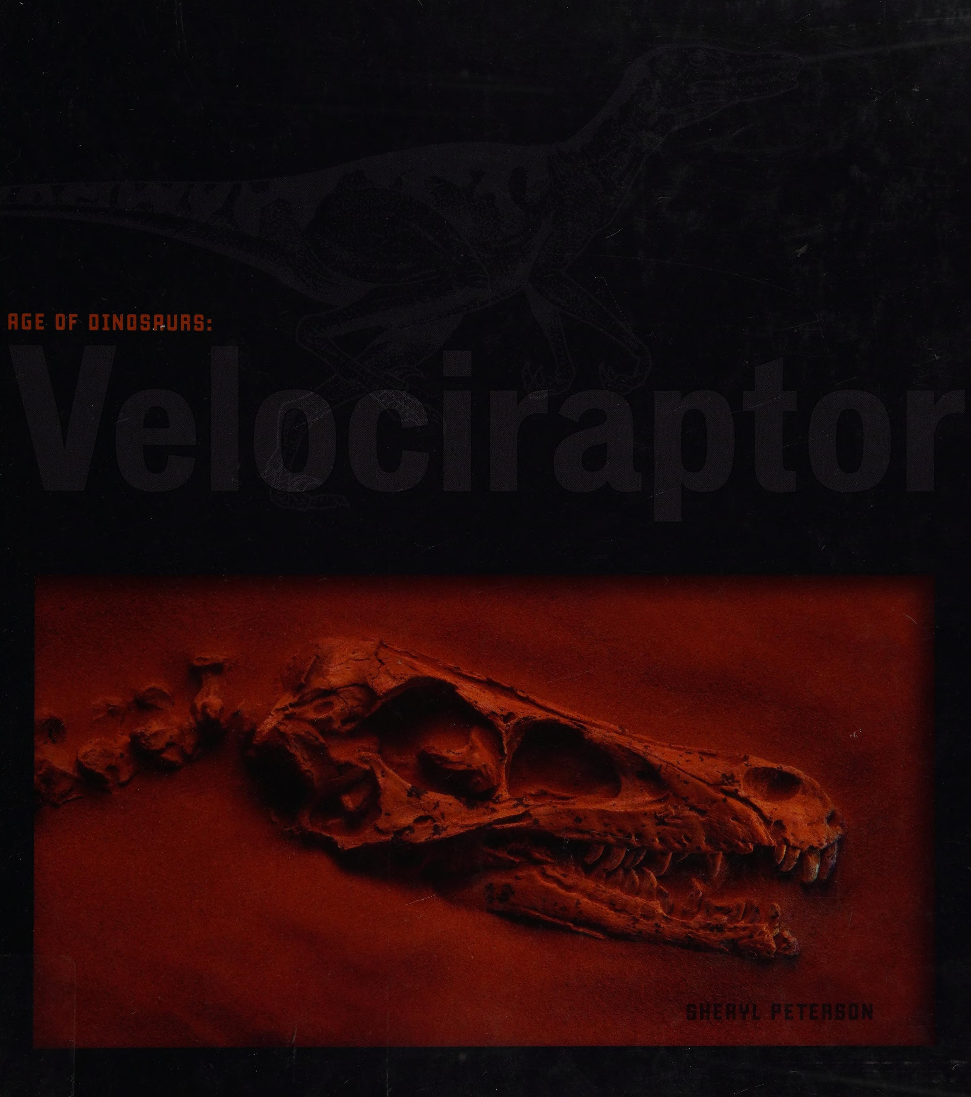 Velociraptor