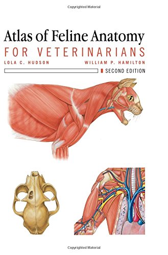 Atlas of Feline Anatomy for Veterinarians