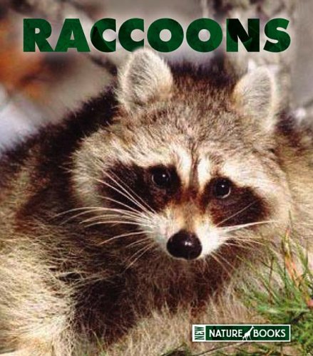 Raccoons