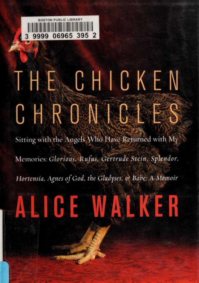 The Chicken Chronicles