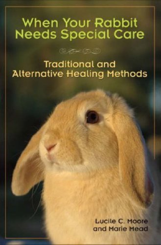 When Your Rabbit Needs Special Care