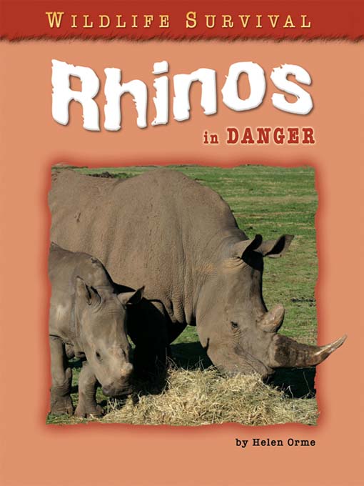 Rhinos In Danger