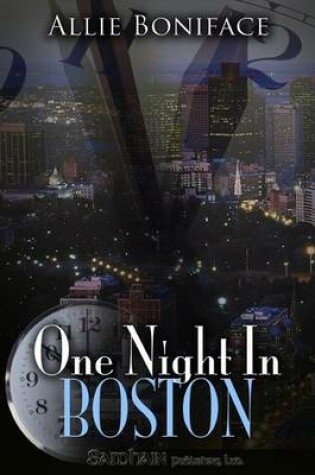 One Night in Boston by Allie Boniface, ISBN 9781599985367