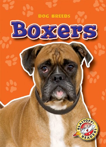 Boxers