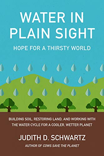 Water In Plain Sight