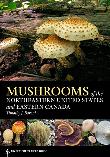 Mushrooms Of The Northeastern United States And Eastern Canada