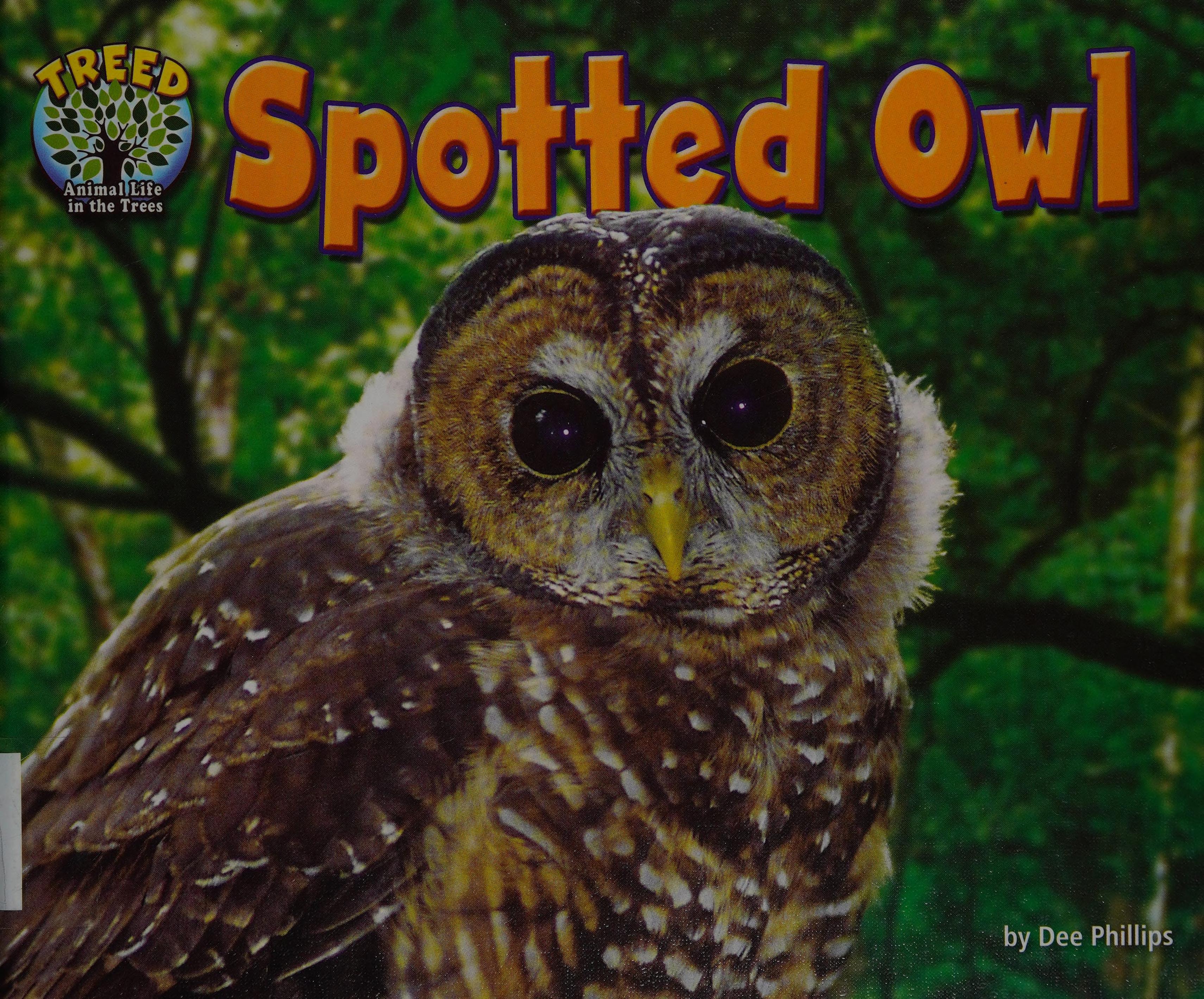 Spotted owl