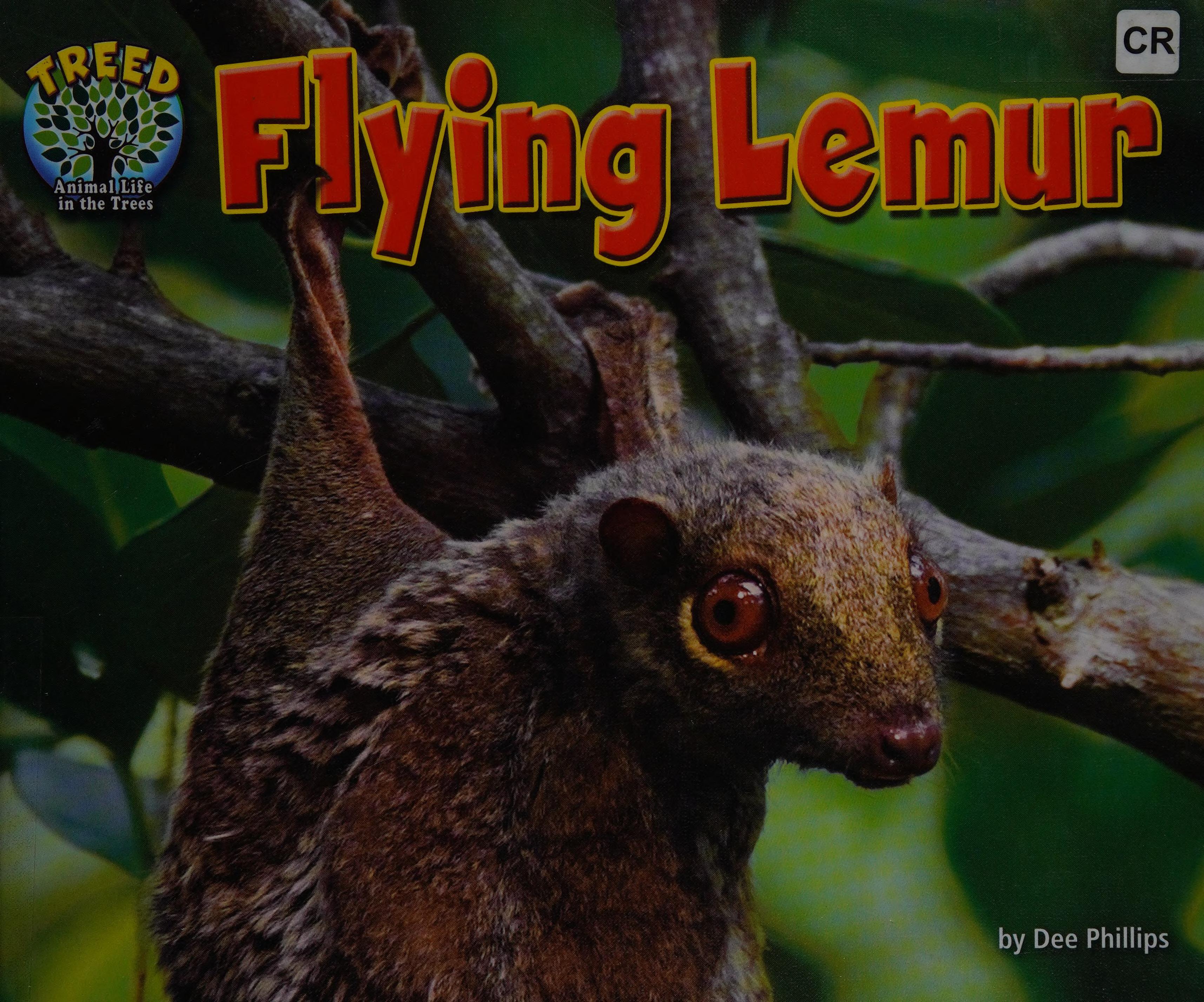 Flying lemur