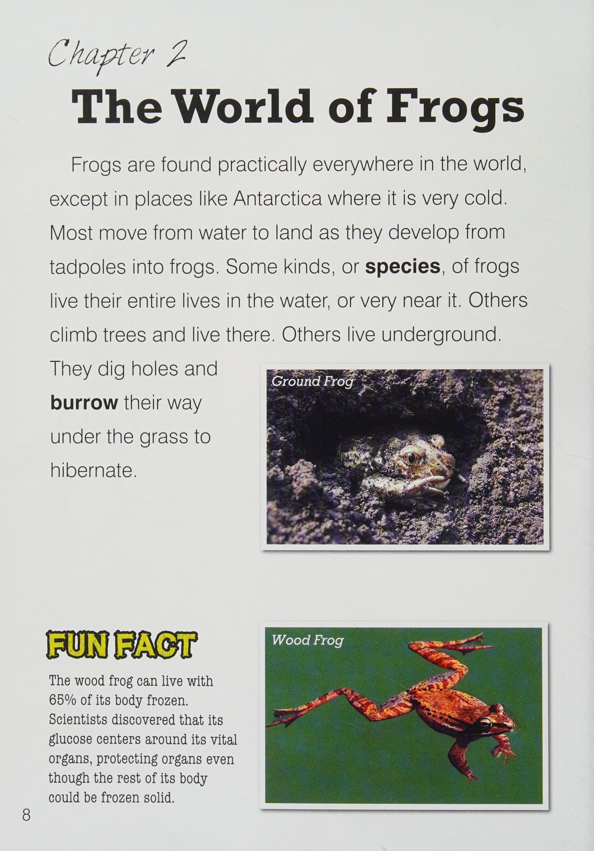 Frogs