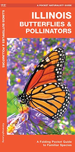 Illinois Butterflies &Amp; Pollinators