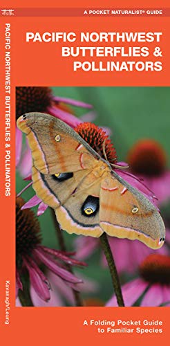 Pacific Northwest Butterflies &Amp; Pollinators