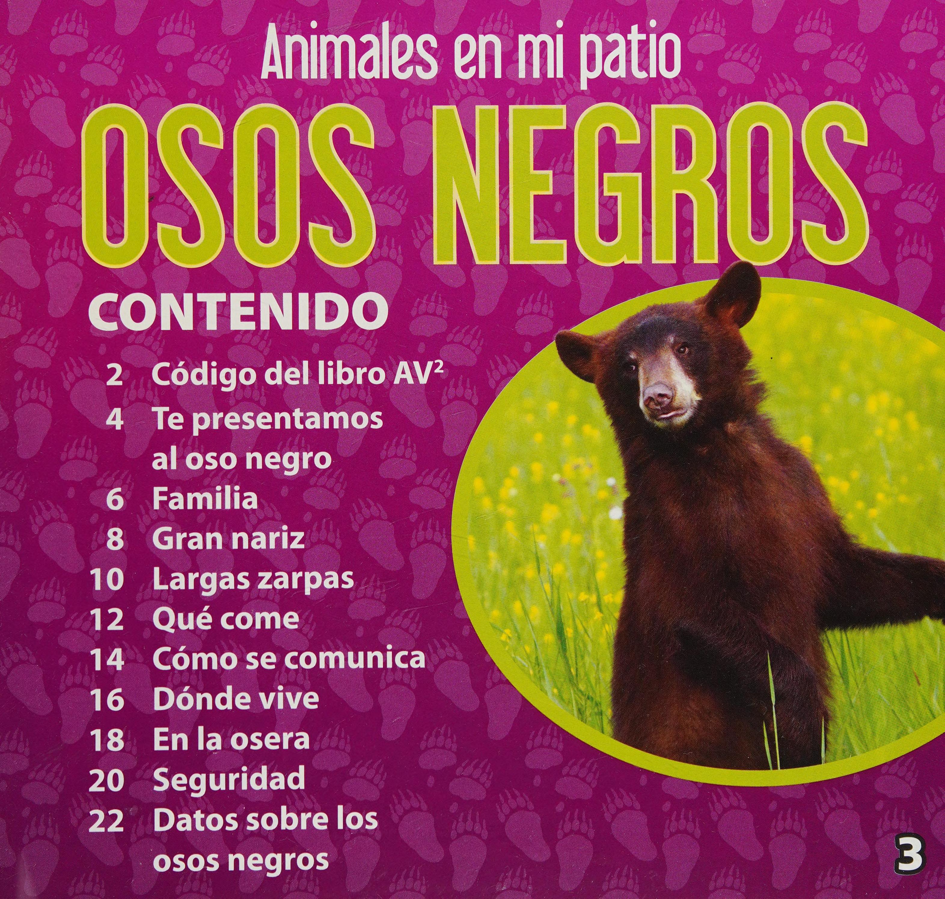 Osos negros