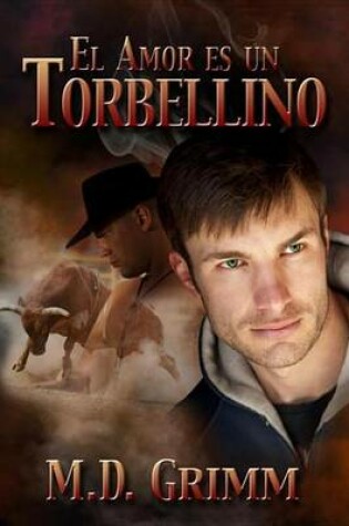 Amor Es Un Torbellino