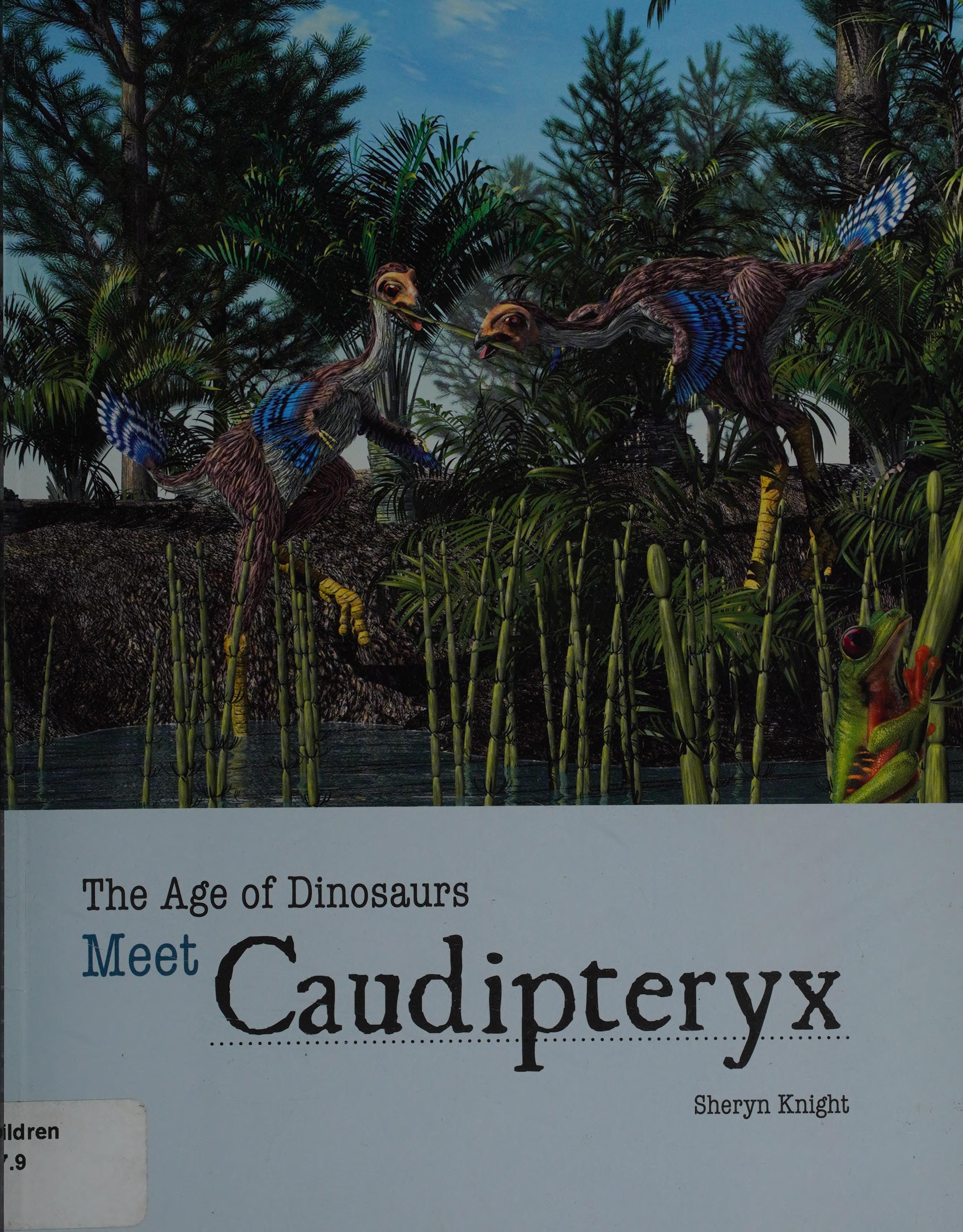 Meet Caudipteryx