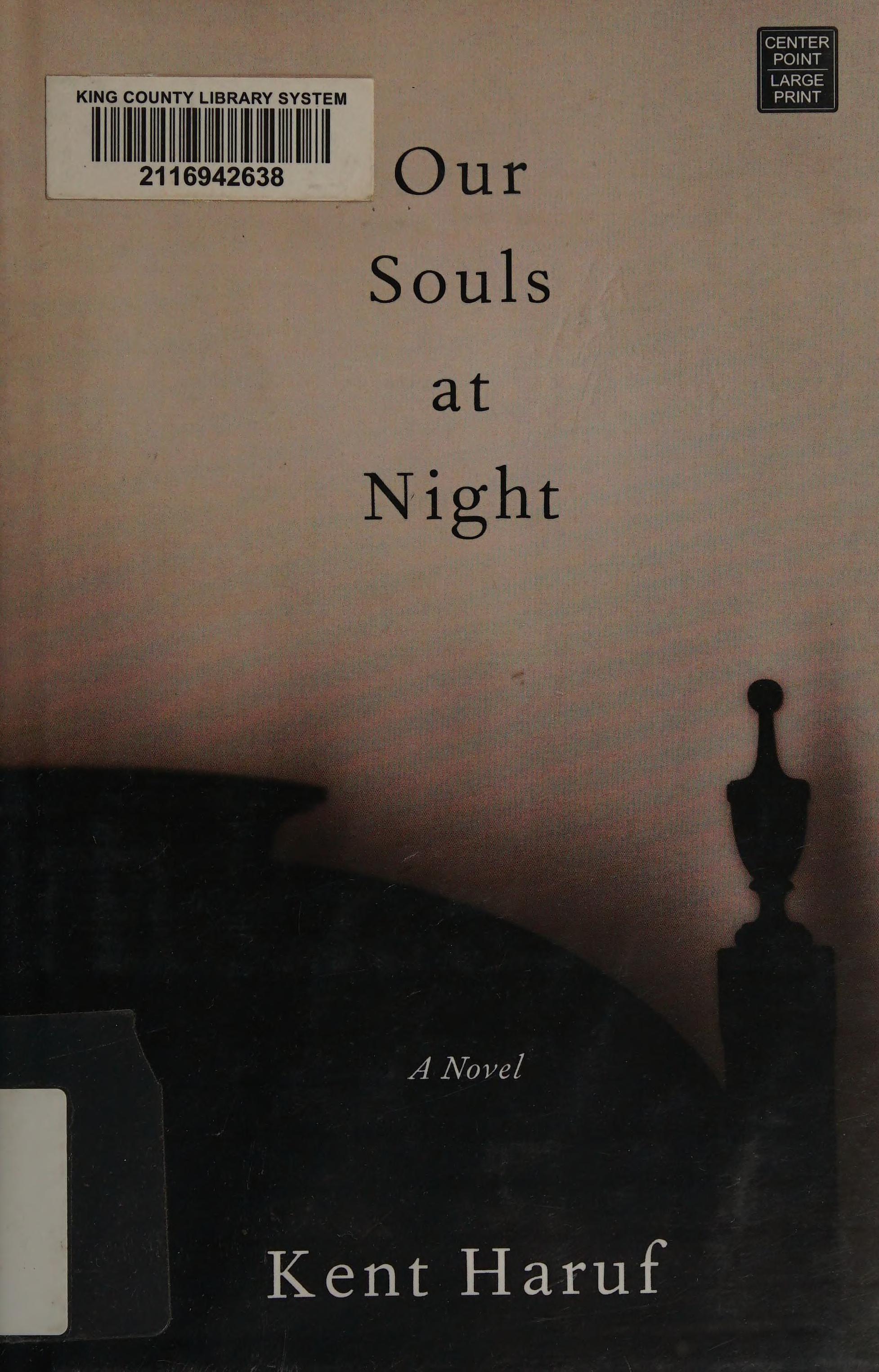 Our souls at night