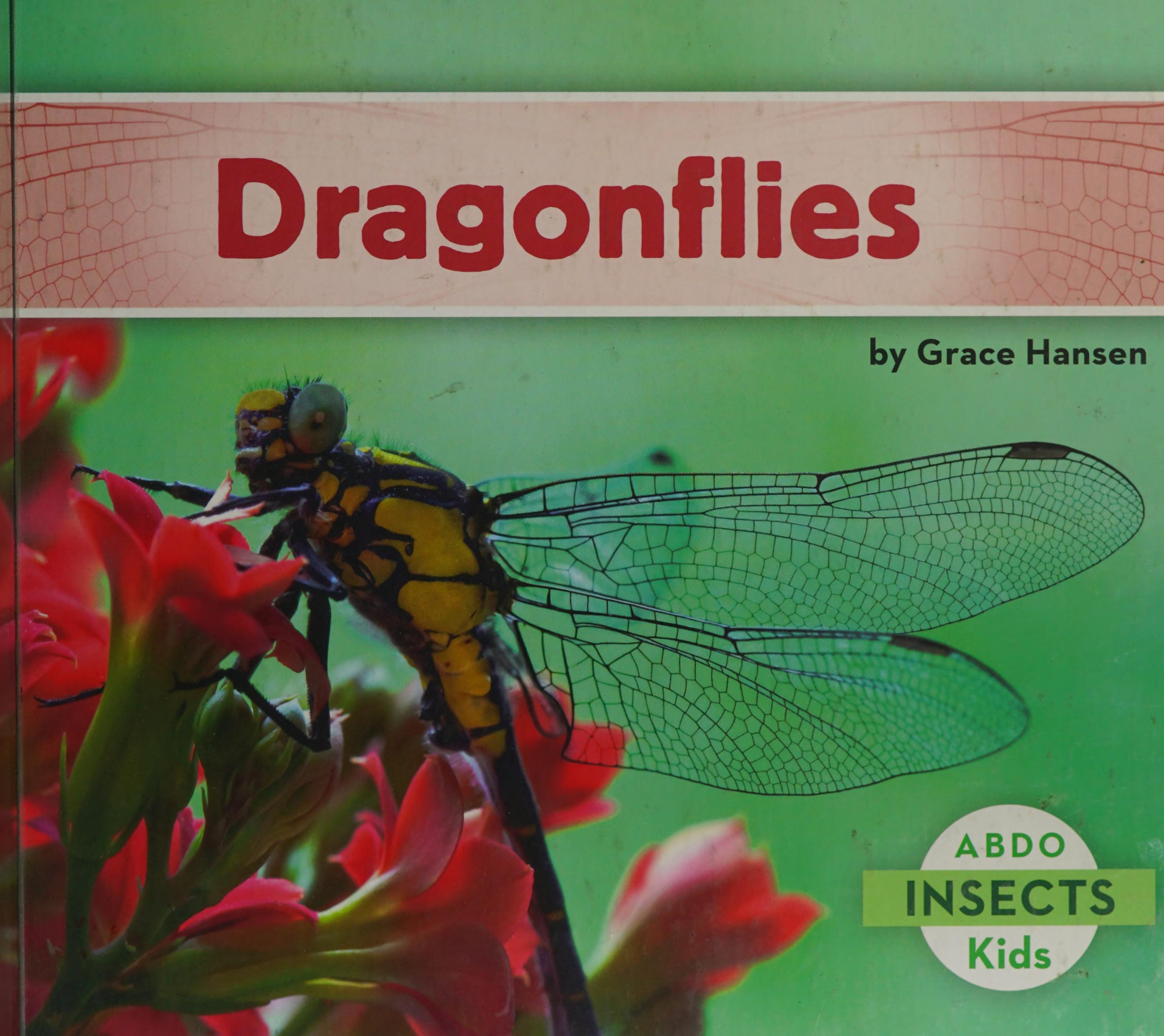 Dragonflies