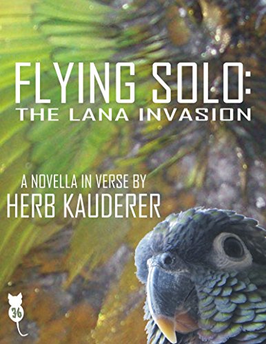 Flying Solo The Lana Invasion
