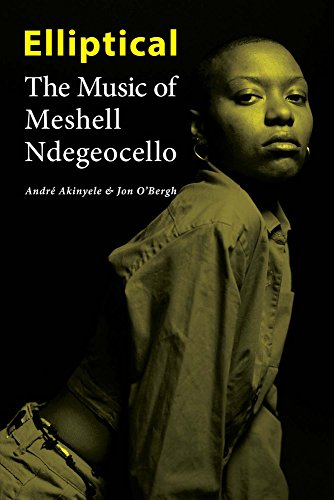 Elliptical: The Music Of Meshell Ndegeocello