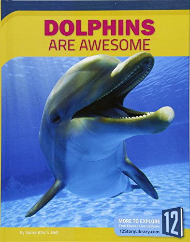 Dolphins Are Awesome