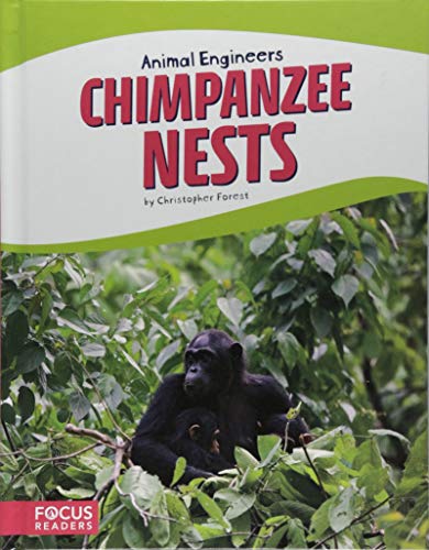 Chimpanzee Nests