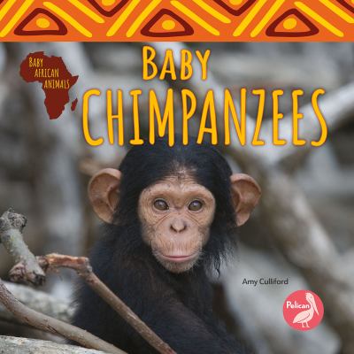 Baby Chimpanzee