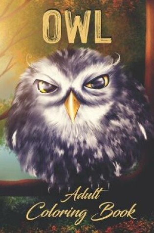 Owl - Adult Coloring Book