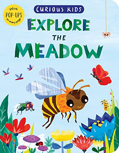 Curious Kids: Explore The Meadow