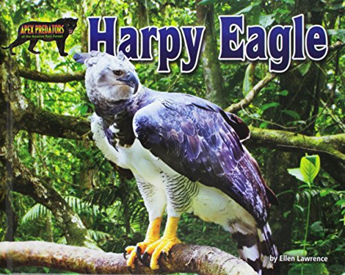 Harpy Eagle