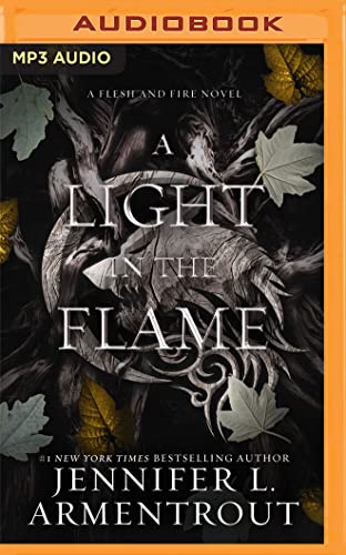 A Light In The Flame by Jennifer L. Armentrout and Stina Nielsen, ISBN 9781713624110
