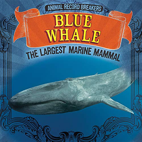 Blue Whale