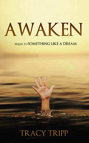 Awaken: Sequel To Something Like A Dream