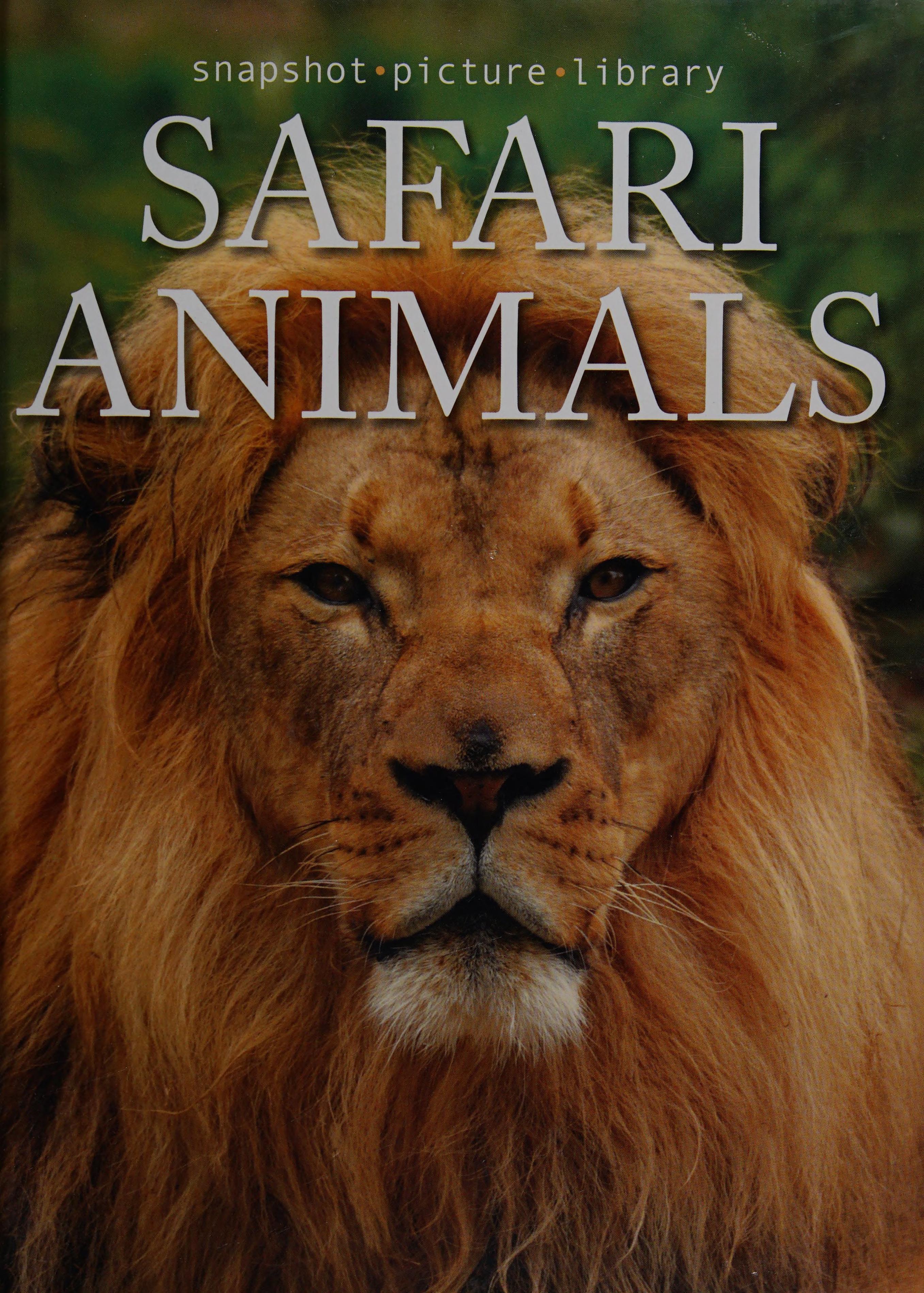 Safari Animals