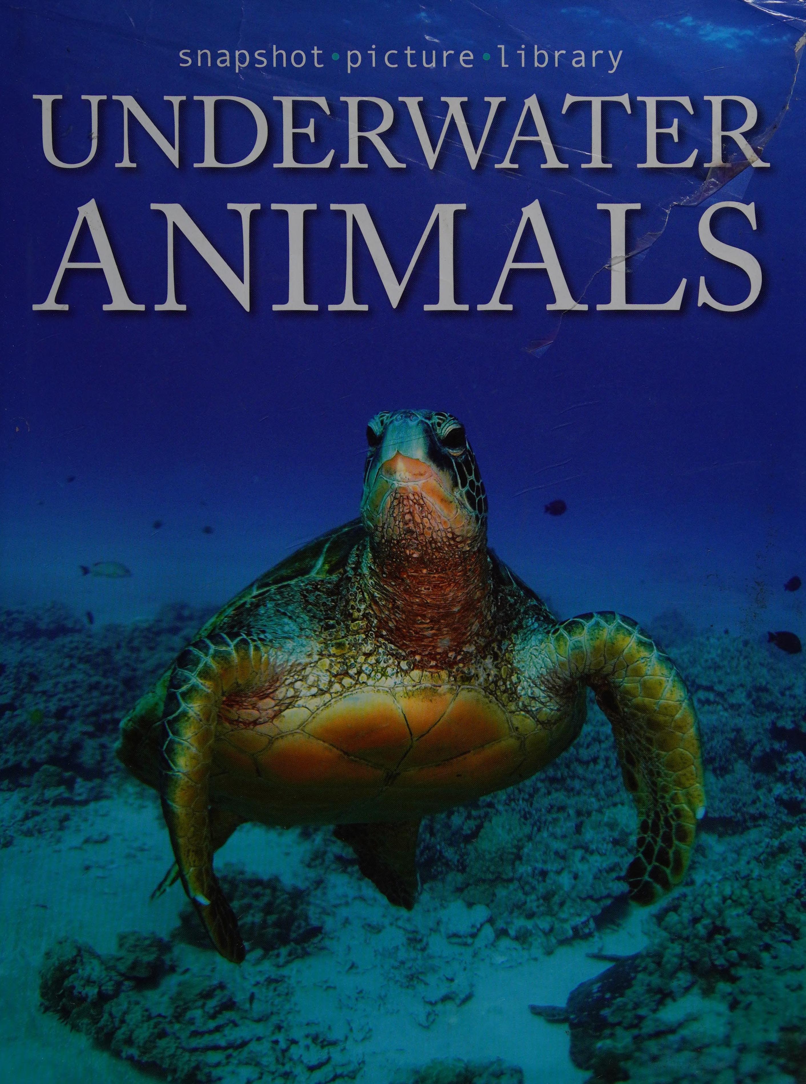 Snapshot Picture Library Underwater Animals